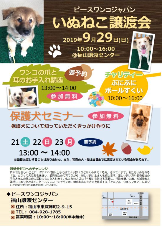 【譲渡会】9/29(日)「いぬねこ譲渡会」開催(福山) 3 7ae73397e50ecab9b7733478b858c8a6 1 e1569490145415