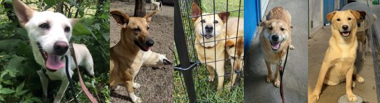 8bda4c687179297f7d3f1ac79c13c185 1 e1569485300290