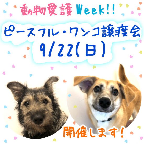 0e18343db6454c001d46e94c732d2ca4 e1568795913655