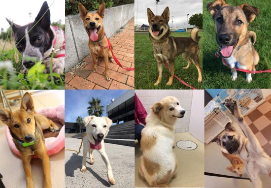 33c05a2fc95cf422834f953f48f8456d 2 e1568775210560