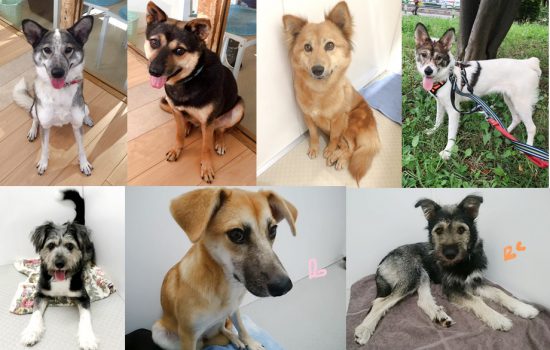 8bda4c687179297f7d3f1ac79c13c185 e1568795852340