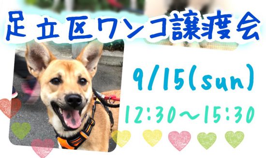 【譲渡会】9/15(日)「第10回 足立区ワンコ譲渡会」開催(東京) 1 442582bceb6d35005740d4a93cb03ac2 e1568270674631