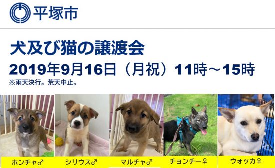 442582bceb6d35005740d4a93cb03ac2 e1568268633102