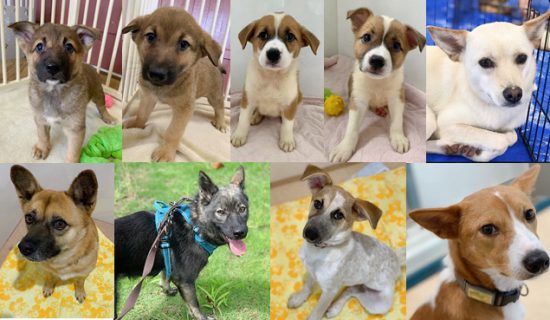 5176736d17f5751b905ce71111cc0333 e1567578371504