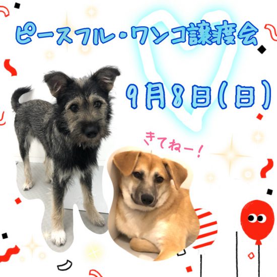 441bdd52db6378a37fe942c5e76ebc24 e1567490719346