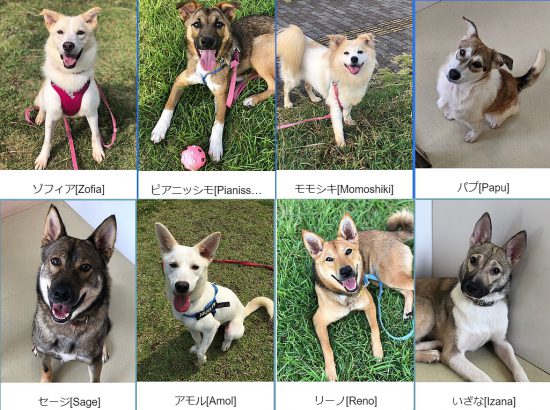 5176736d17f5751b905ce71111cc0333 e1572343535853