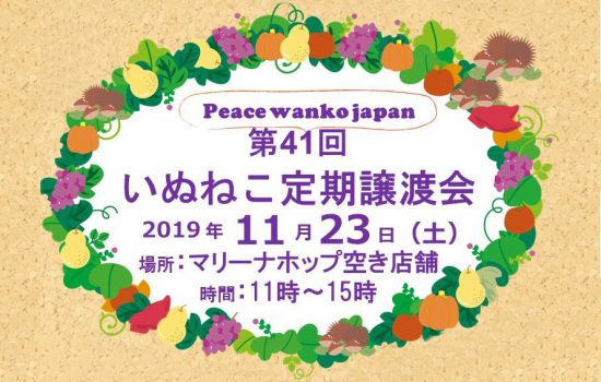 0767f934b892fc57a1b3ab7d47d4339e e1572339561532