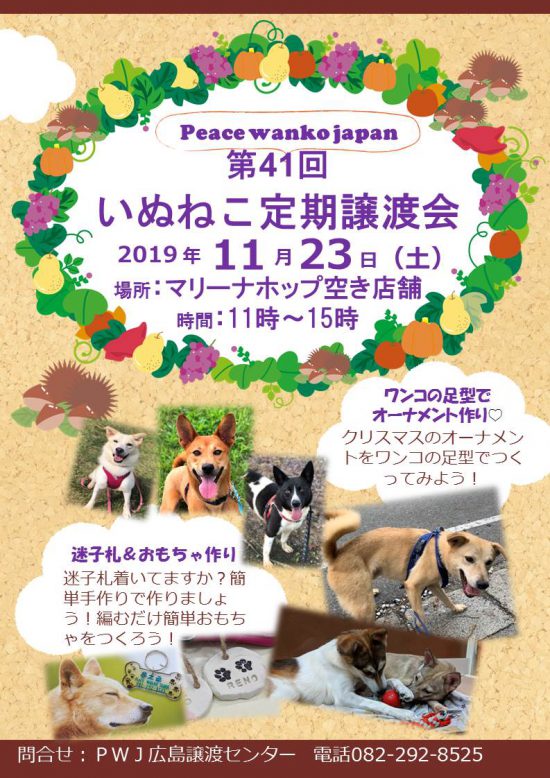 9c5a2510b72728676bab7e122a8f5ae2 e1572344791212