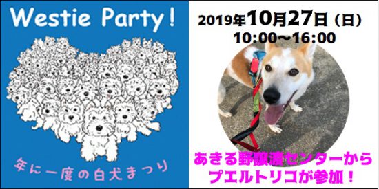 7cf440758c921d4f4df72fddfbf1f26c e1571998178256