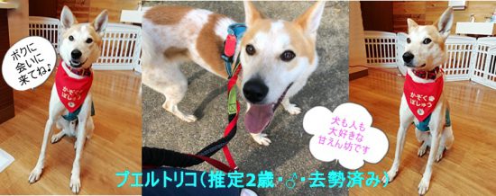 f019f375d77959cb2133c30d5328be3f e1571996681557