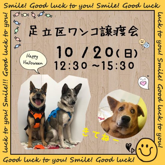 unnamed 1 e1571132393315