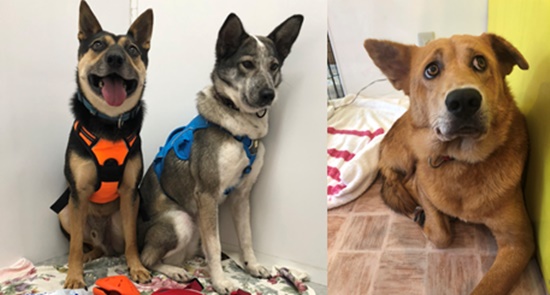 23e22465038a0d99a03b0453f2ca9332