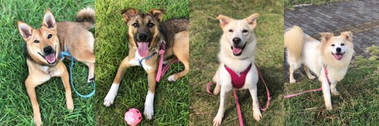 eae38f764bfa1506fda39591f8339bd4 e1571130336201