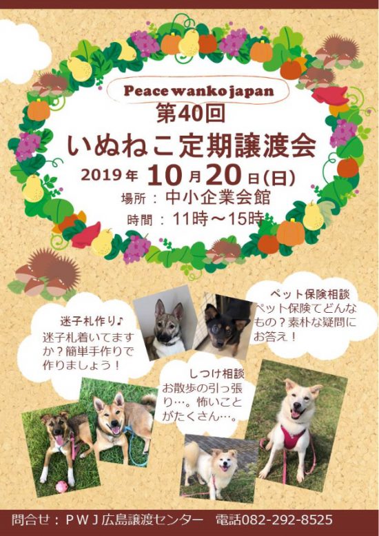 c6355b0c746ac756e59dce6eb05ed851 e1571128430577