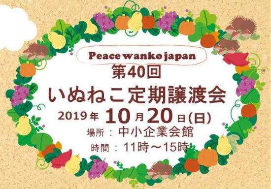 e4ad3646f974c85b1c7bcf1686a4441a e1571128391759