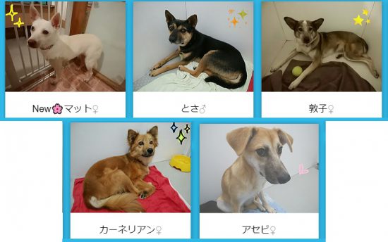 33c05a2fc95cf422834f953f48f8456d e1570695735321