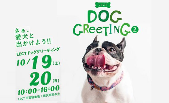 7ae73397e50ecab9b7733478b858c8a6 1 e1571125260116