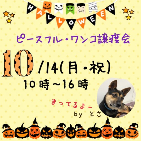 unnamed e1570695610448