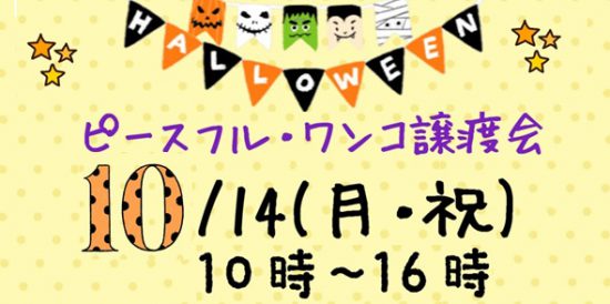 442582bceb6d35005740d4a93cb03ac2 e1570695166549