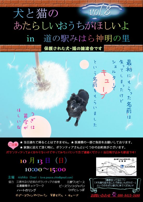 6831fc8ea19f719465d47039a4b46b0a e1570521034625