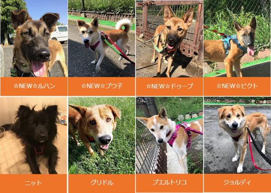 2b090979ca5d80845164af72c7d728b4 e1570003952705