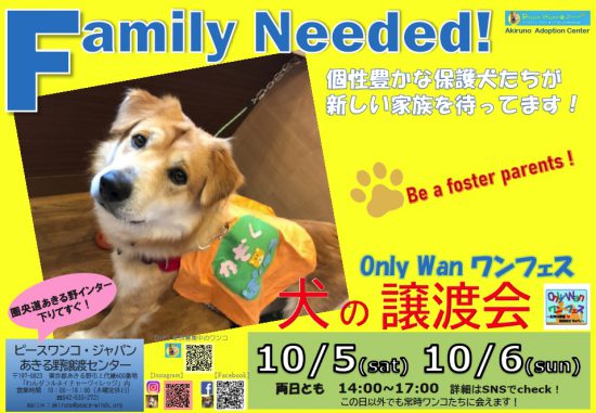 7ae73397e50ecab9b7733478b858c8a6 e1570003542344