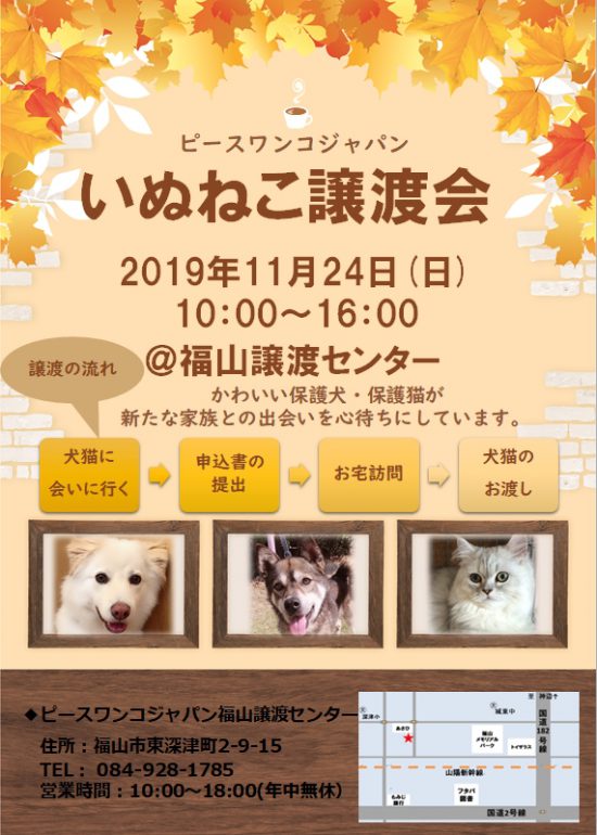 a0f7f8d8869b0aec32e215758de7173f 1 e1573184195939