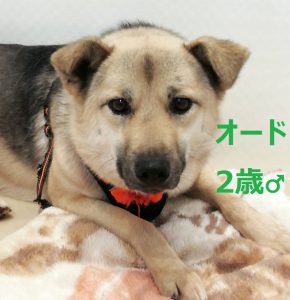 d52f69cde991de25e0dca0c5fbc649ff