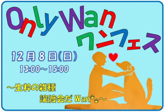 310f83d7bc8343bc34a8e3d6580c0263 e1575426547984