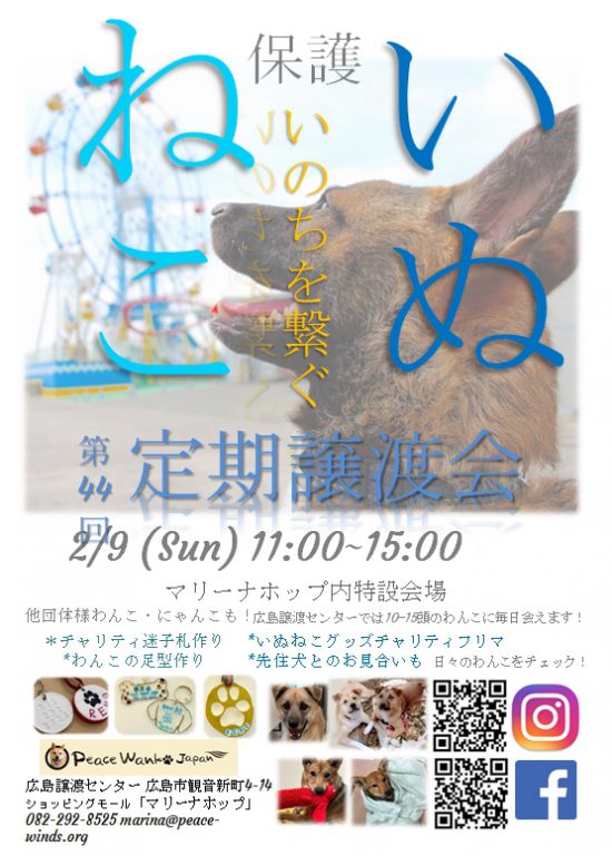 【ピースワンコの譲渡会】2/9(日)「第44回いぬねこ定期譲渡会」開催(広島) 2 7ae73397e50ecab9b7733478b858c8a6 e1579143184537