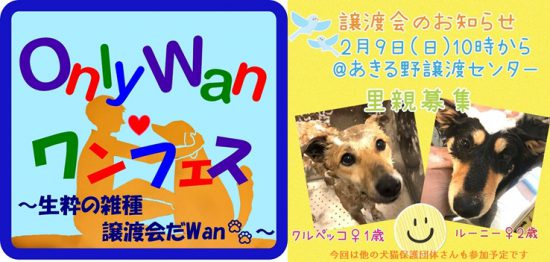 68125c6a9e9305001cbecf8611771cd0 e1581048468177