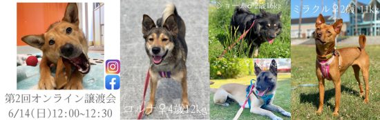 78d0a586446b03f63896f21b2d8902e4 1 e1591934180791