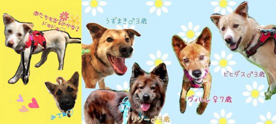 994325de3e99a4ee7f463da2c57d8c45 e1591622606752