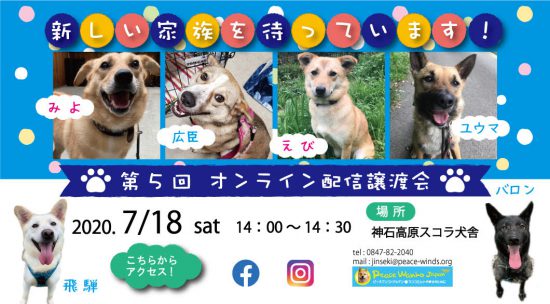 unnamed e1594993576350