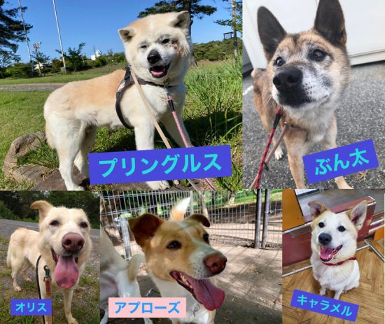 b3a3a30c86809f5ce5621989a3960cc2 e1599547424677