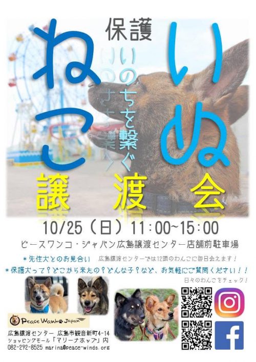 【ピースワンコの譲渡会】10/25(日)広島譲渡センター「いぬねこ譲渡会」開催 2 5e83ed85be06125f1343818d8782af9b e1602113480354