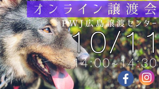 【ピースワンコの譲渡会】10/11(日)広島譲渡センター「オンライン譲渡会」開催 2 ed15cf33db2bd344e0248fd821c5517a scaled e1601867520492