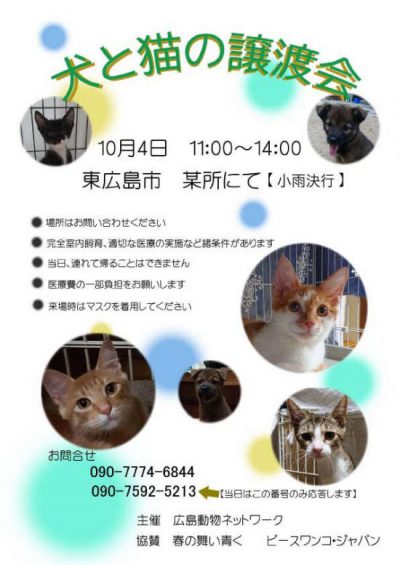 【ピースワンコの譲渡会】10/4(日)「犬と猫の譲渡会」に参加(東広島) 2 d31ca875661aa3ea5dface73e1ef79f2 e1601630907109