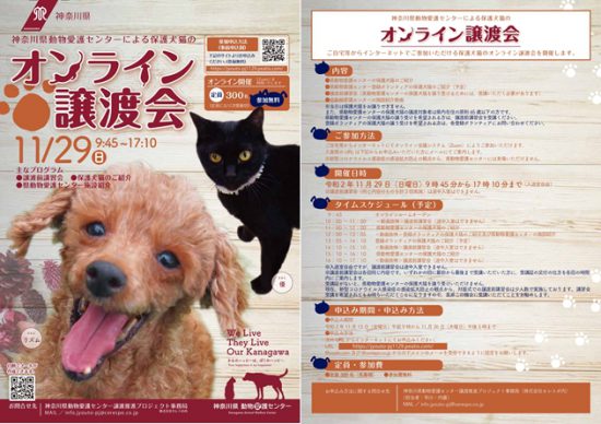 【ピースワンコの譲渡会】11/29(日)「神奈川県動物愛護センター/オンライン譲渡会」に参加 2 6ecd2eccda9da4181be747eba23c2fd8 e1606279128417