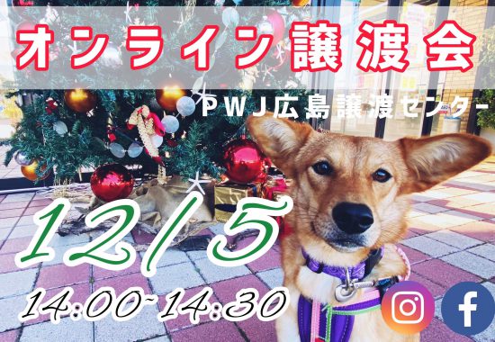 【ピースワンコの譲渡会】12/5(土)広島譲渡センター「オンライン譲渡会」開催 2 1205 e1606890726887