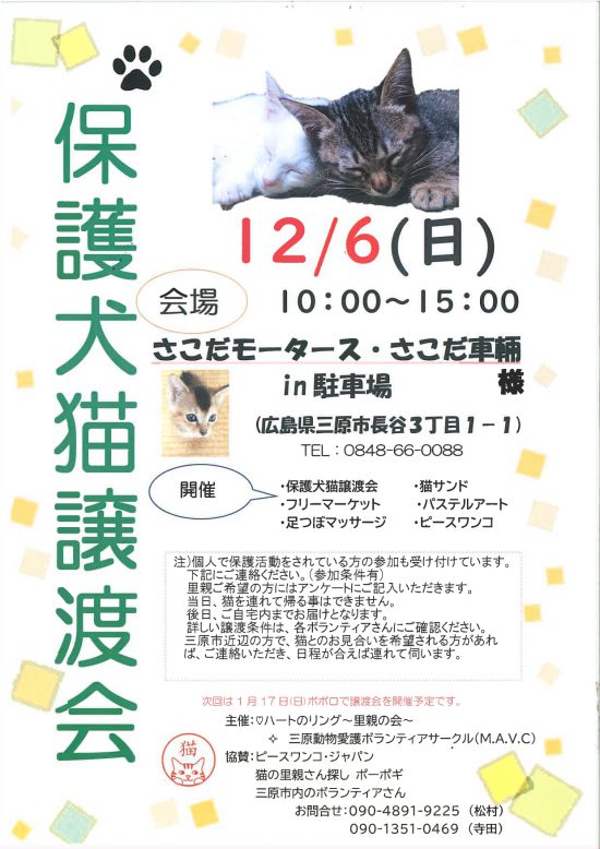 【ピースワンコの譲渡会】12/6(日)「保護犬猫譲渡会」に参加(広島県三原市) 2 28a6b336518842542dc5f9614f305ce7 e1606878529343