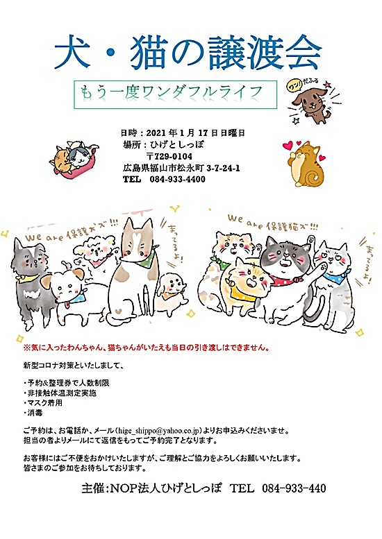 【ピースワンコの譲渡会】1/17(日)福山譲渡センター「犬・猫の譲渡会」に参加 2 ae082e62f769bfd93f6cb226d5cdbf16