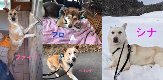 20210307 ALL e1614775696404