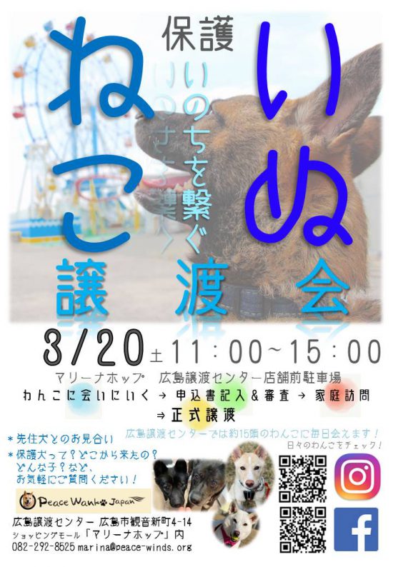 ab7f8e05021962ceb5ca48dba7f6877d e1614151267526