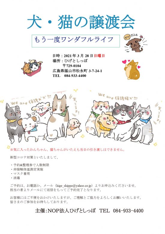 【ピースワンコの譲渡会】3/28(日)福山譲渡センター「犬・猫の譲渡会」に参加 2 25c045f393c2f09a227d73c89b3196c2 e1616484689848