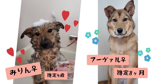 a91fe8f591eaac2ae9700a58ce0a40df