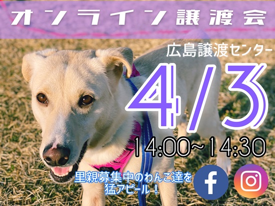 【ピースワンコの譲渡会】4/3(土)「オンライン譲渡会」開催(広島譲渡センター) 2 b7b486ac27e094edba3d297c82610de6