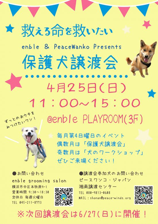 【ピースワンコの譲渡会】4/25(日)「enble 保護犬譲渡会」開催(神奈川) 2 094e9d001c61ad9eddb3c74241be67bf e1617931049880