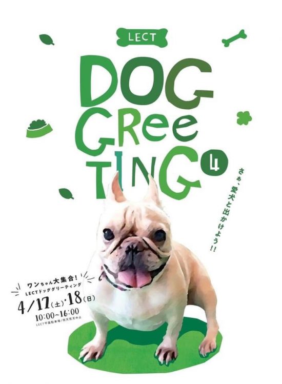 【ピースワンコの譲渡会】4/17(土)-18(日) 「LECT DOG GreeTING」で譲渡会開催(広島) 2 69cf009ebcc302433add9ed666b9a730 e1617874252291