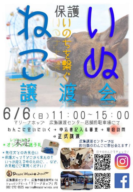 【ピースワンコの譲渡会】6/6(日)「会えるいぬねこ譲渡会」開催(広島譲渡センター) 3 9a8eebd09e62daa29f46d71ed5f2398c scaled e1622023196546